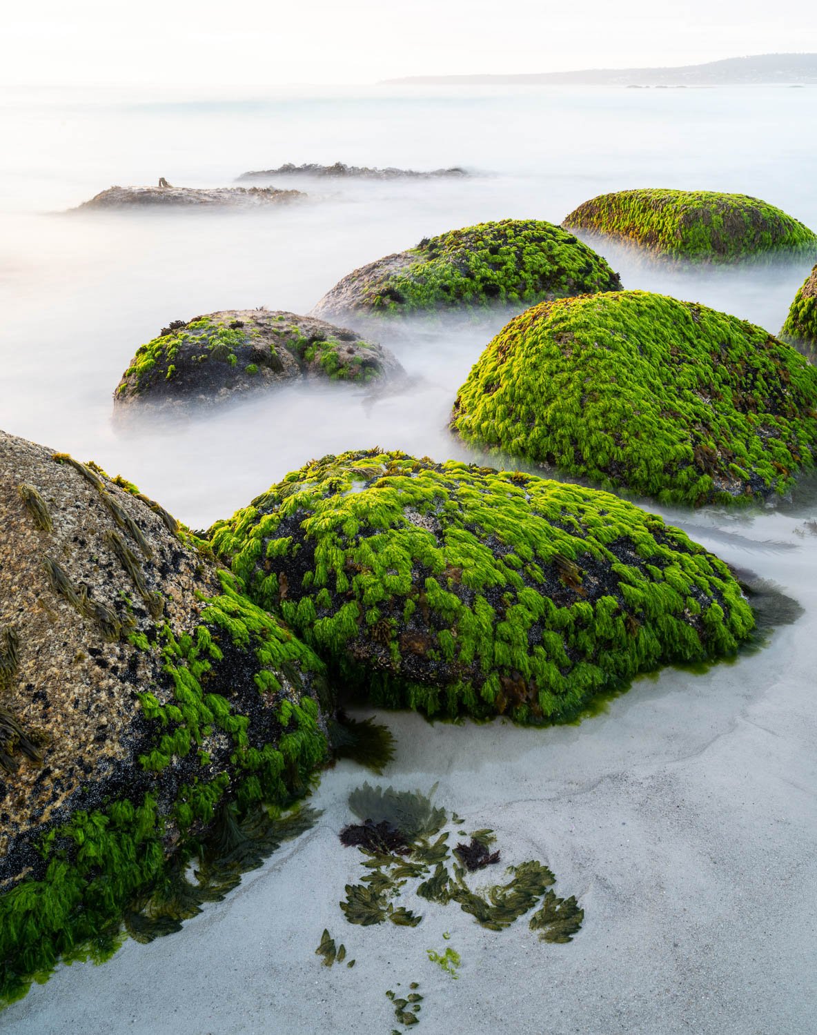 Some big green mounds on a land covered with snow, Green Moss-Covered Rocks, Bay of Fires