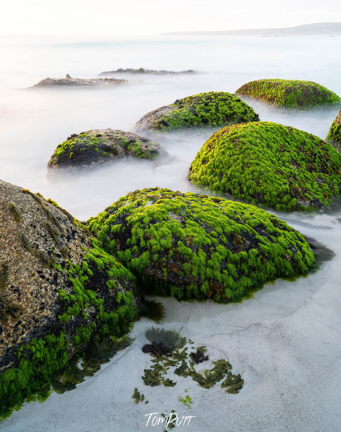 Some big green mounds on a land covered with snow, Green Moss-Covered Rocks, Bay of Fires