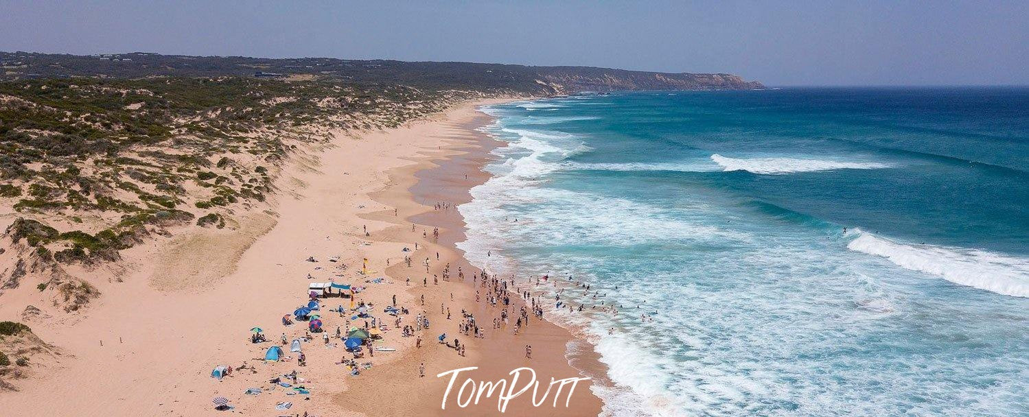 A beach with a large area of small trees, Gunnamatta Beach - Mornington Peninsula VIC