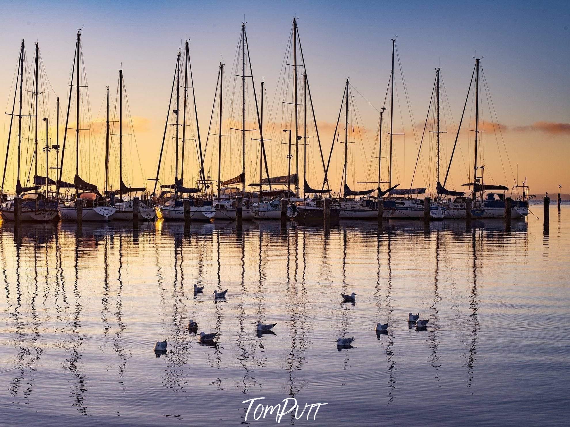 A coast of boats in a sea, Hastings - Mornington Peninsula VIC