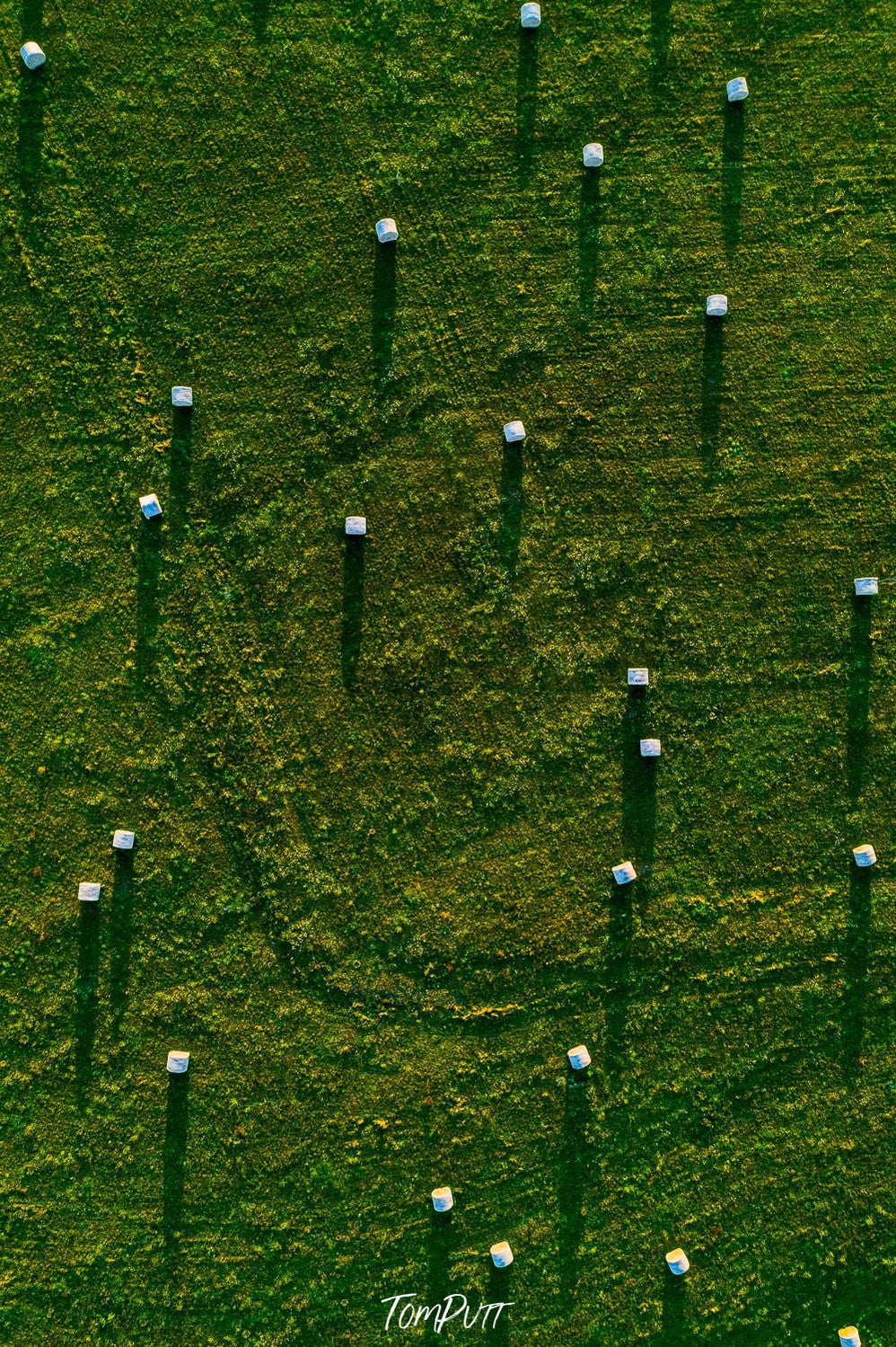 Aerial view of a greenfield area with some small white dots, Hay Bales - Mornington Peninsula VIC