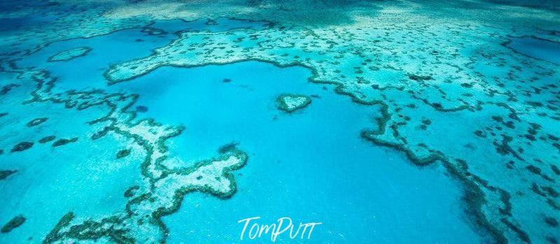 Large grassy texture on a clear ocean, Heart Reef #2 Tom Putt Art 