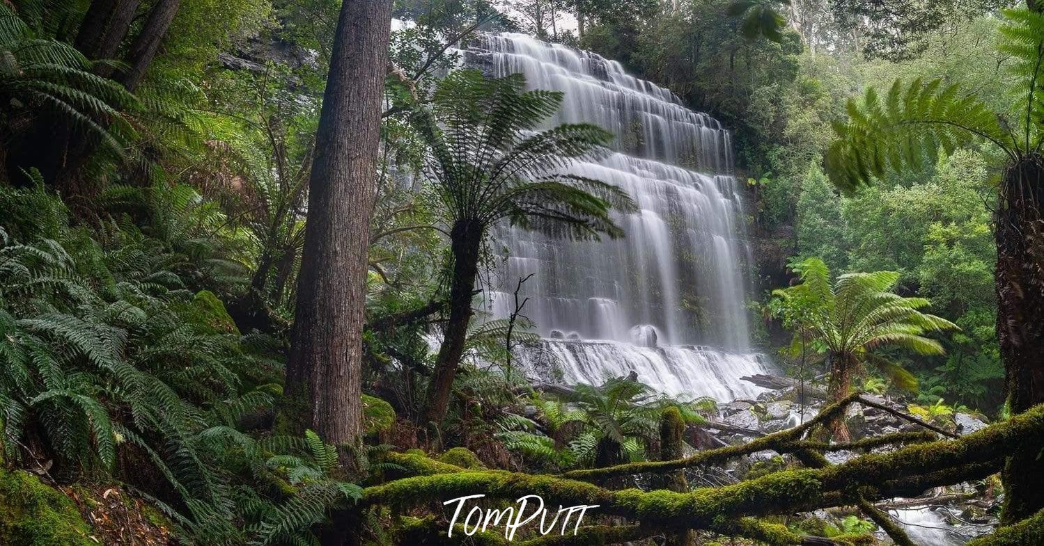 A wavy waterfall from a mountain, a lot of greenery in the area, Hidden Falls