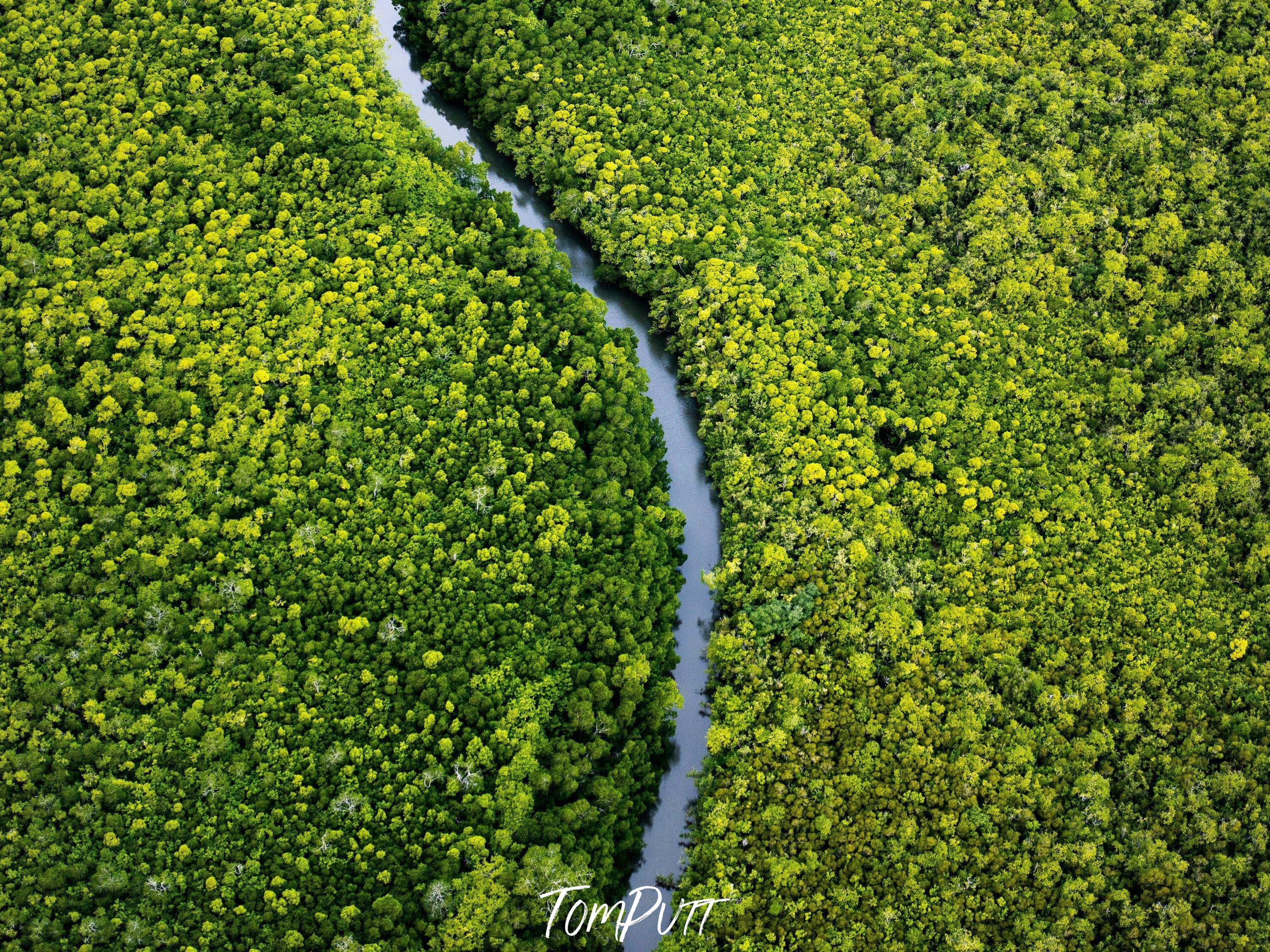 Thick dense green fields with a singular curvy line of water crossing the entire area, Hidden Journey