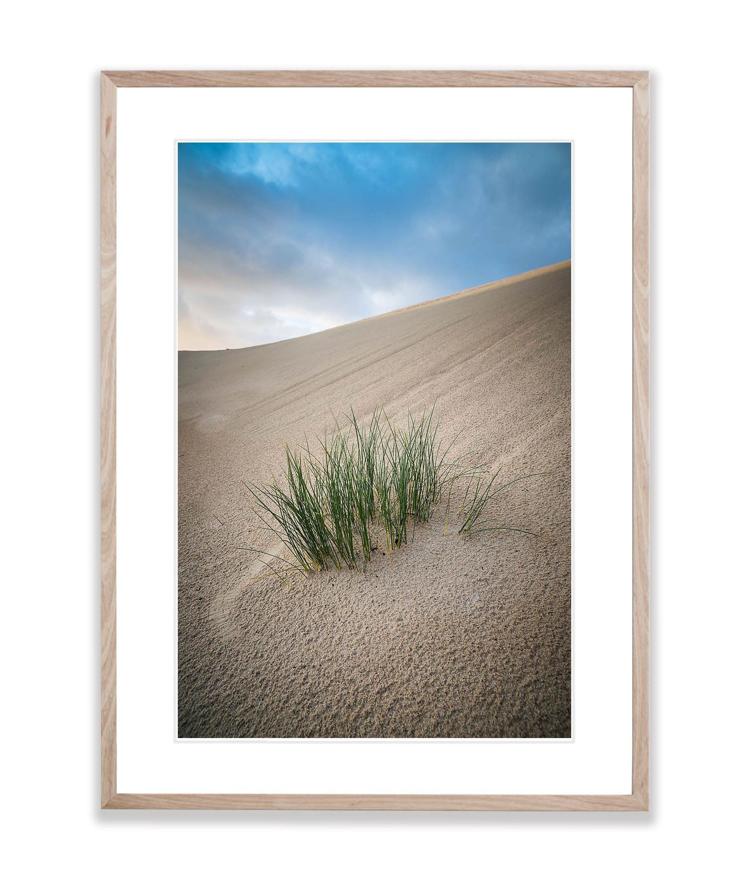 Holding on, Eyre Peninsula