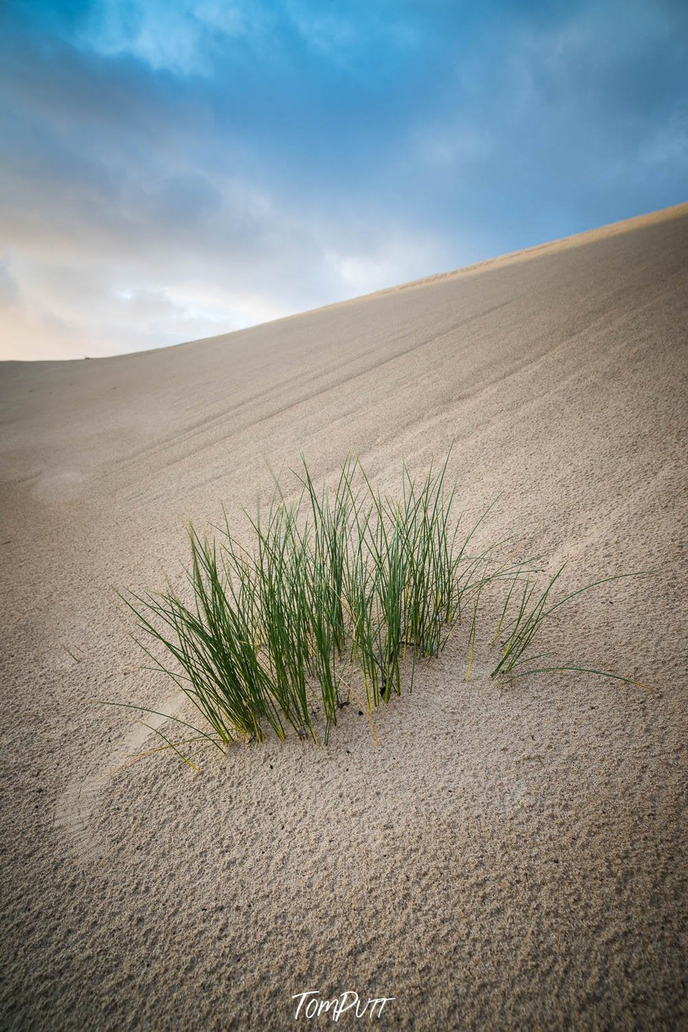 Growing bushes on desert land, Holding on, Eyre Peninsula