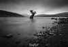 A dark horse sculpturein the water, Horse Sculpture, Faroe Islands