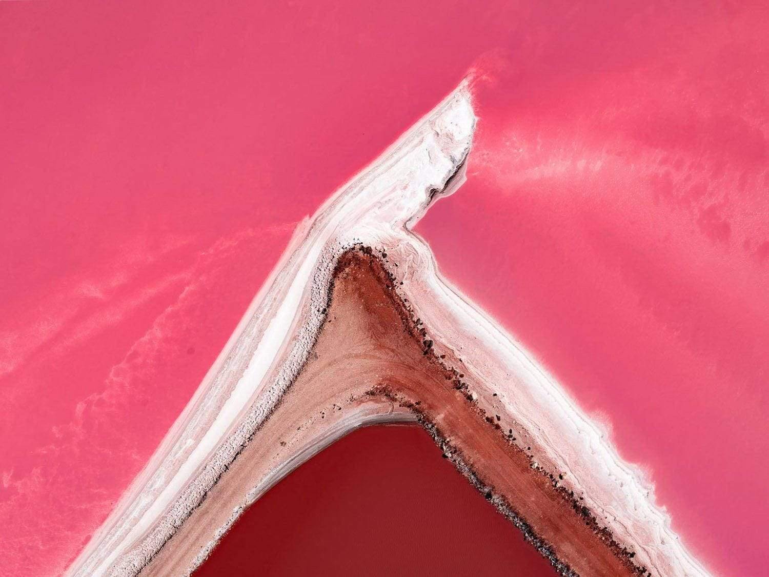 Artwork of a dark pink surface with a vanilla and chocolate lining churn on it, Ice Cream