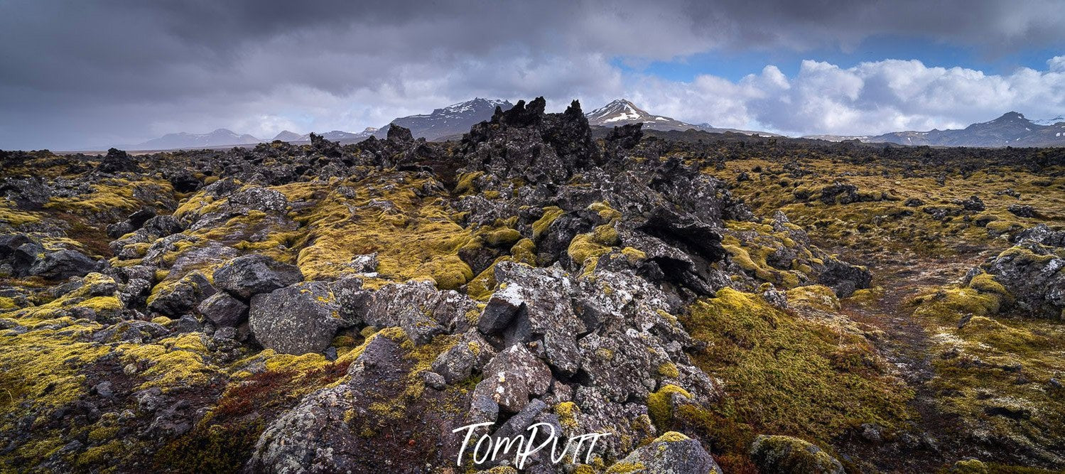 A long hill area fully covered with bushes, plants, and grass, Iceland No.1