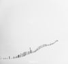 A woody fence in a long snow-covered area, Iceland #10