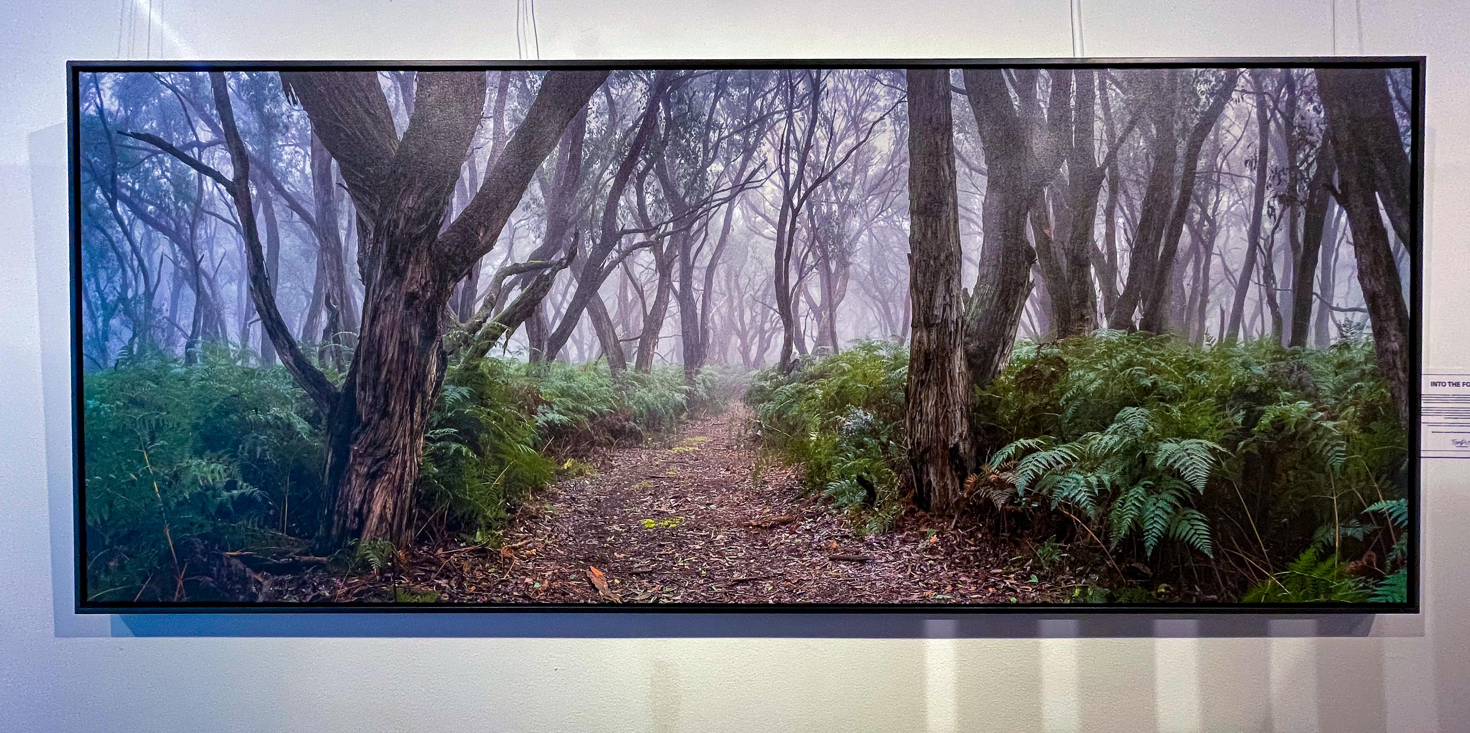 ARTWORK INSTOCK -  Into the Forest - Available 200 x 83cms Black Framed Canvas Print in the gallery TODAY!