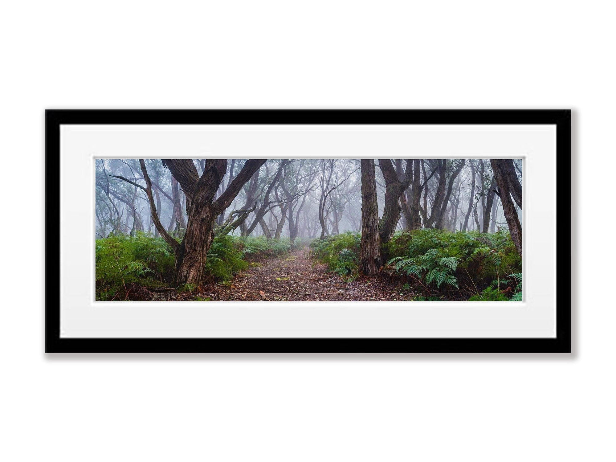 Into the Forest, Mornington Peninsula, VIC