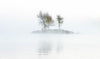 A small island with three trees on it, a foggy effect in the picture, Island in the Mist - Lake Burley Griffin AC