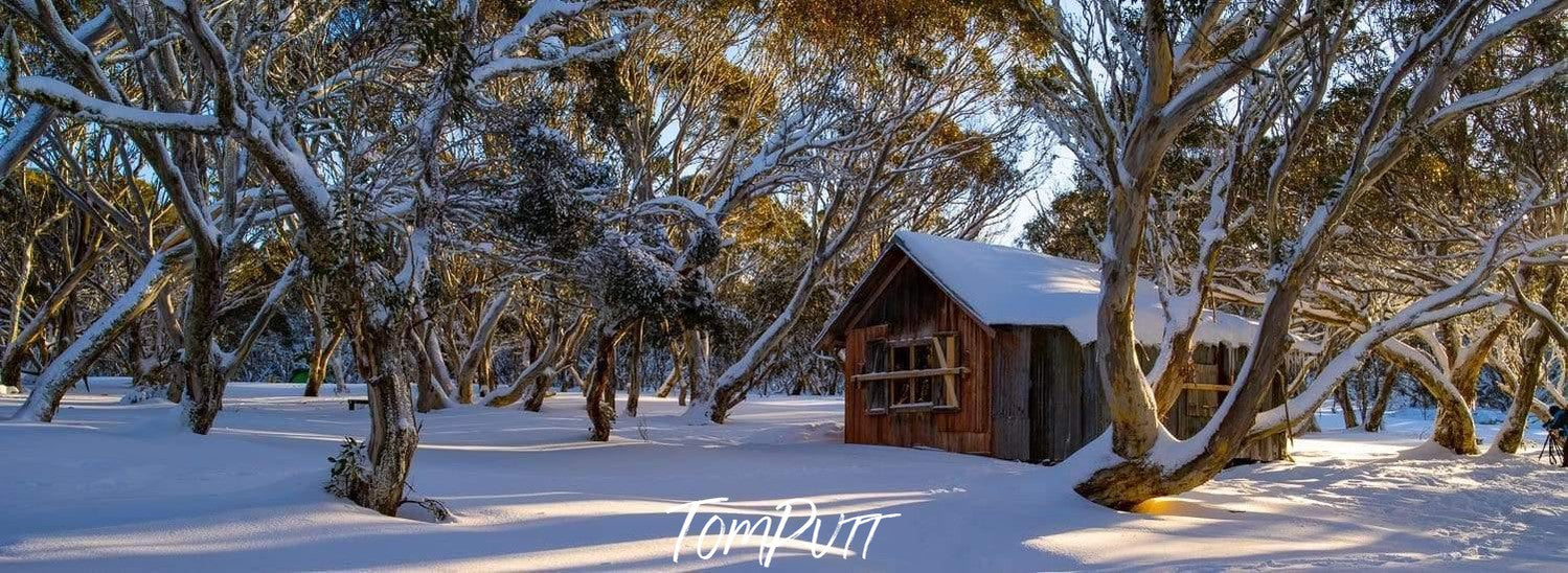 A house surrounded by many long trees, a land covered fully with snow, JB Hut - Victorian High Country