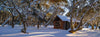 A house surrounded by many long trees, a land covered fully with snow, JB Hut - Victorian High Country