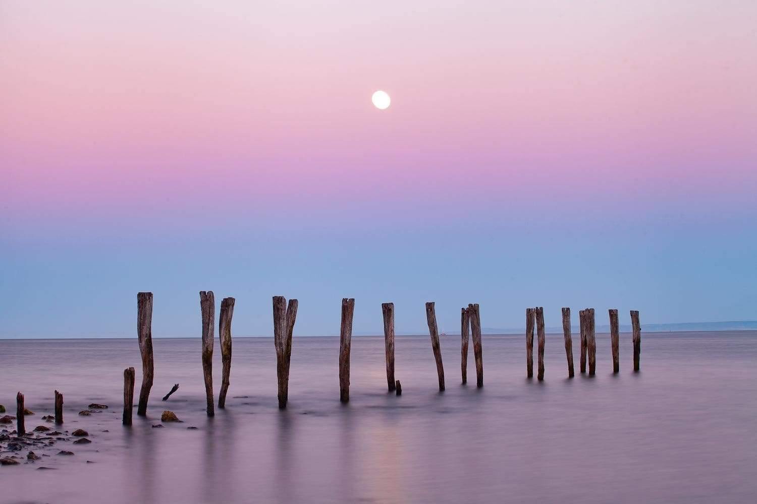 A sequence of woody pillars in the water,  - Kangaroo Island SA in the water, and a purple effect of weather, Jetty Moonrise, Kingscote - Kangaroo Island SA