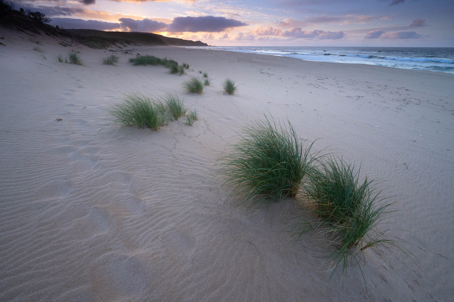 Joanne Beach dunes, Great Ocean Road