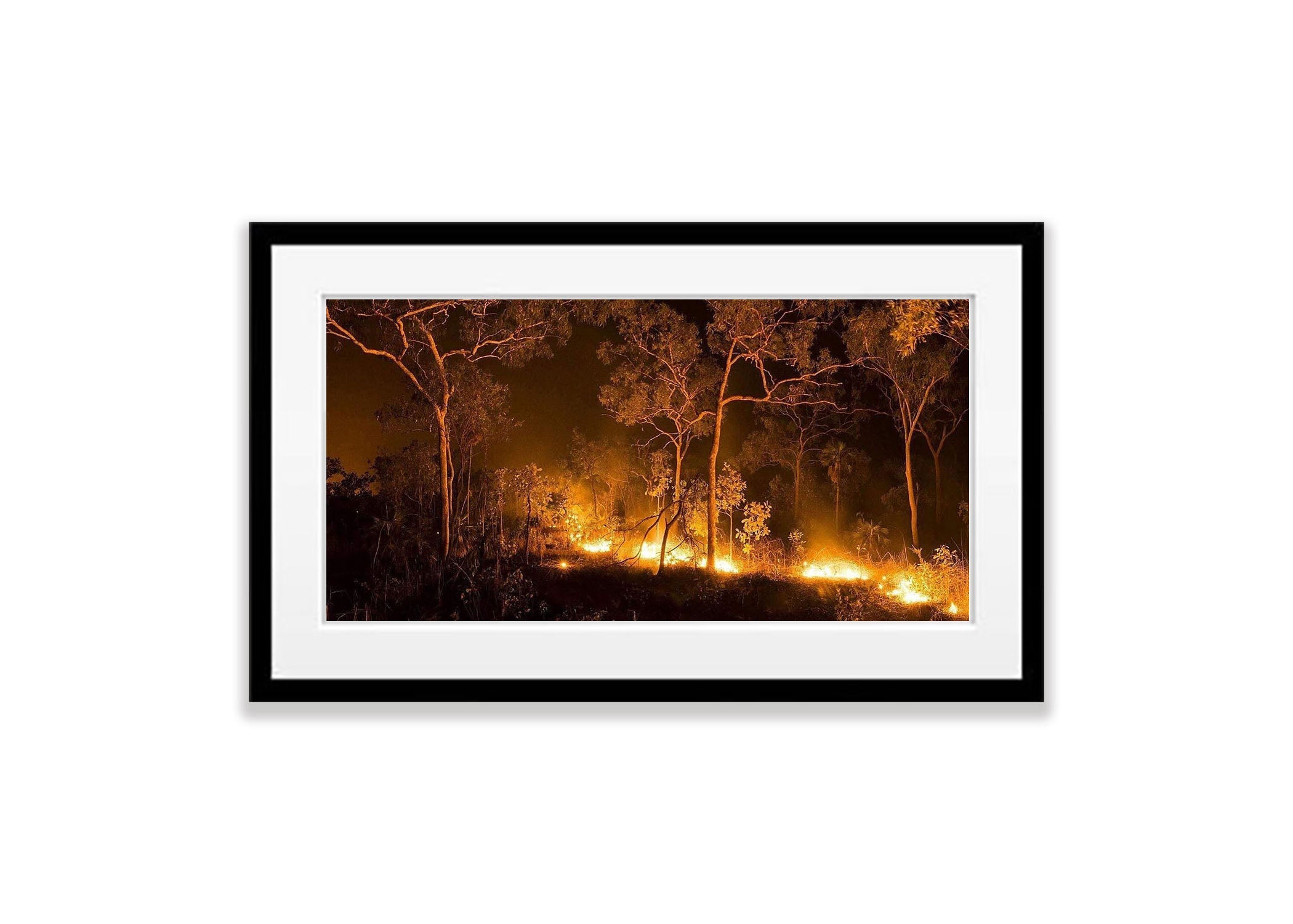 Kakadu Fire - Northern Territory