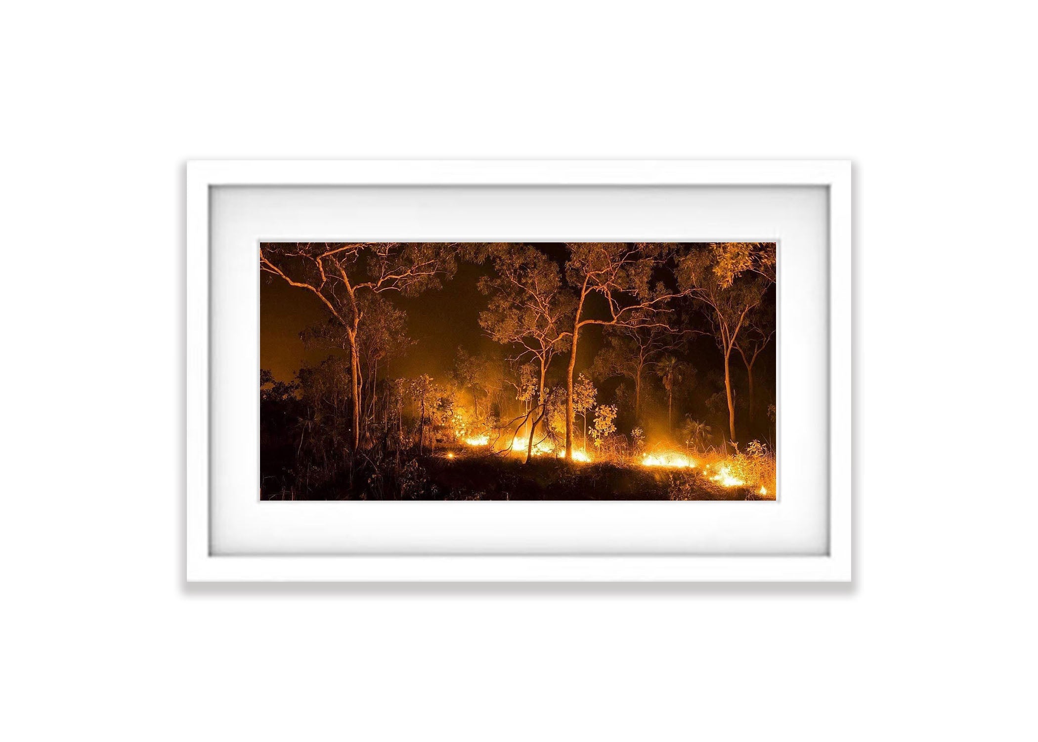 Kakadu Fire - Northern Territory