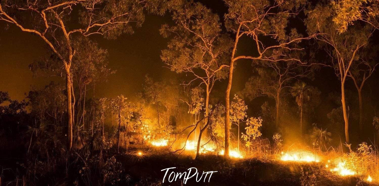 Night view of a burning forest, Kakadu Fire - Northern Territory