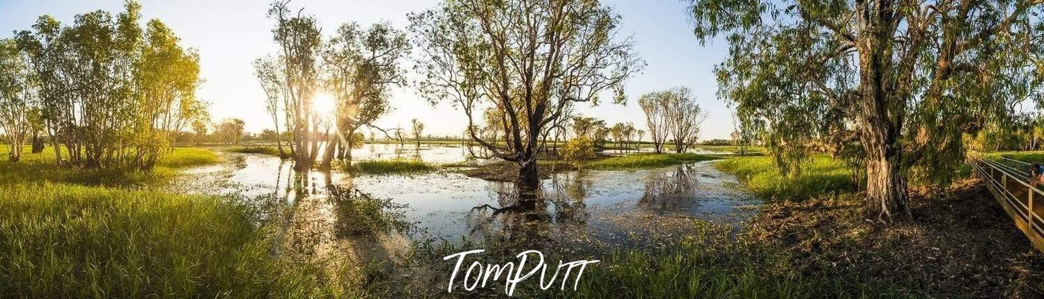 A morning view of greenfield area with a little watercourse, Kakadu Light - Northern Territory