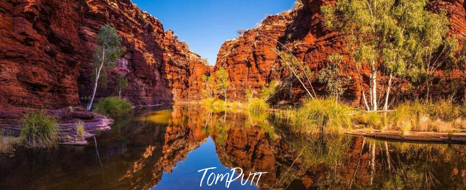 A small lake between two giant mountain walls, and a reflection of the scene in the water, Kalamina Gorge - Karijini, The Pilbara 