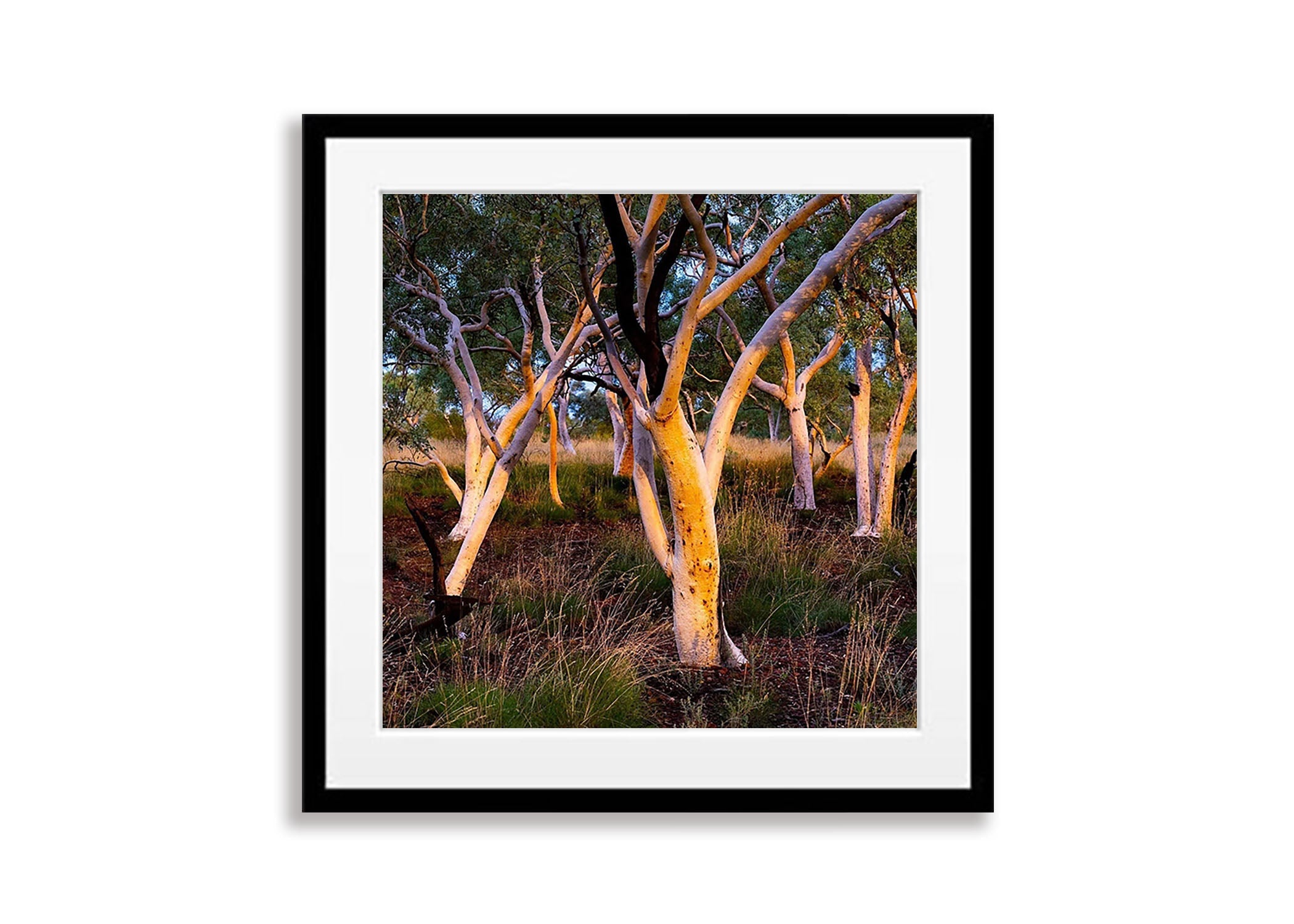 Karijini Cluster - Karijini, The Pilbara