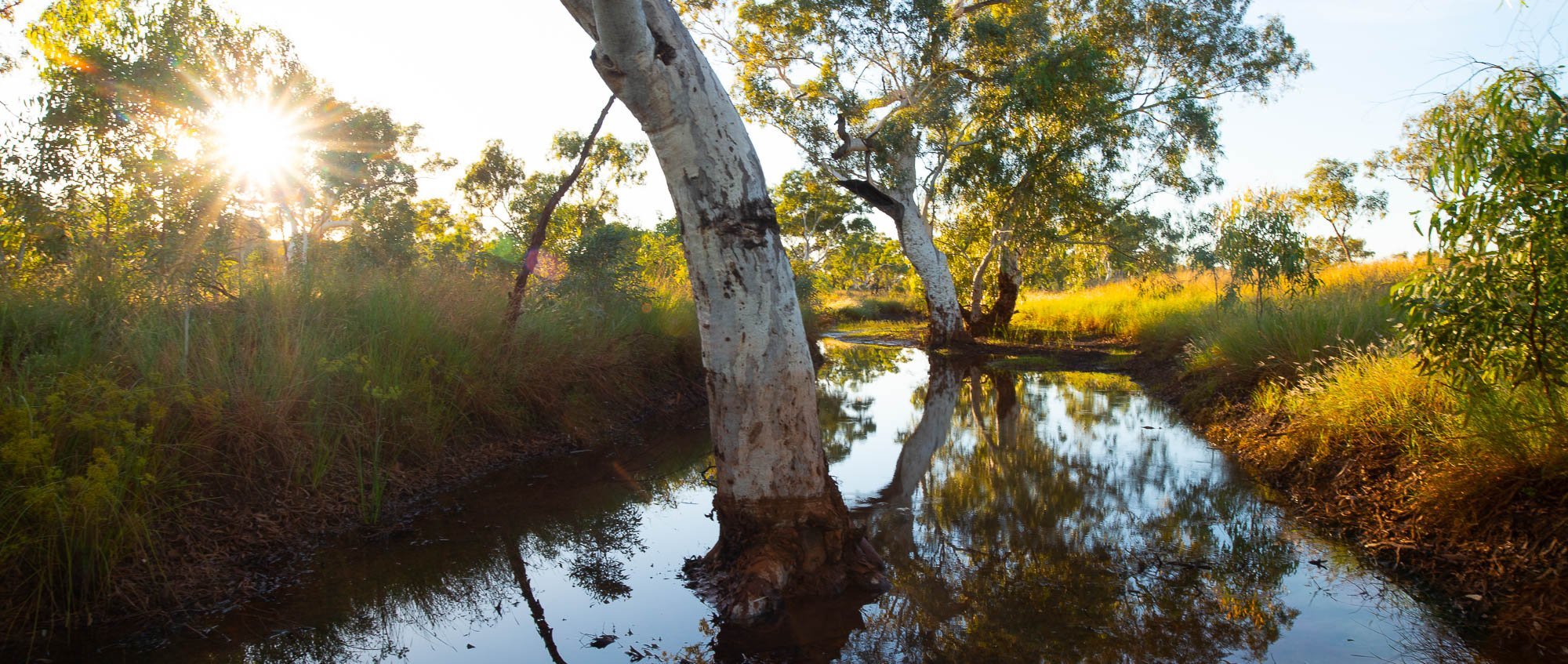 Karijini Waterhole, The Pilbara
