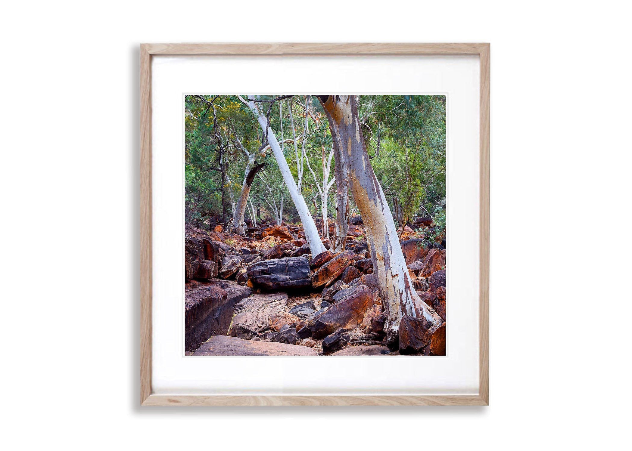 Kings Canyon Gums, Watarrka National Park - Northern Territory