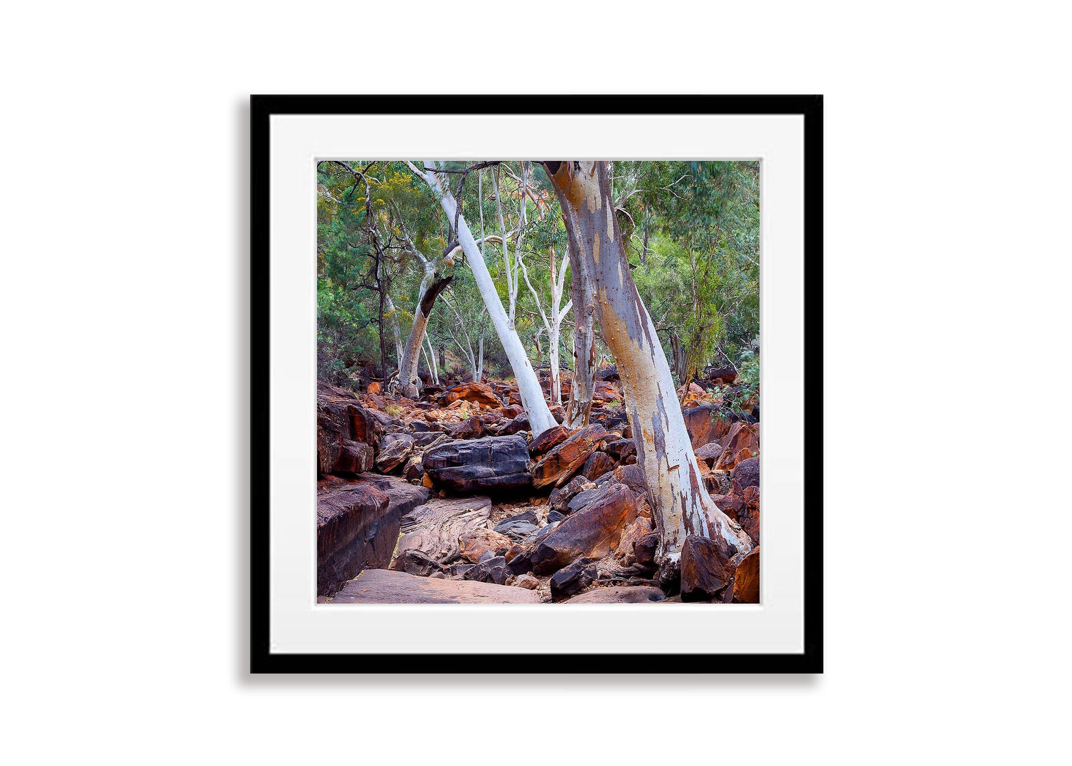 Kings Canyon Gums, Watarrka National Park - Northern Territory