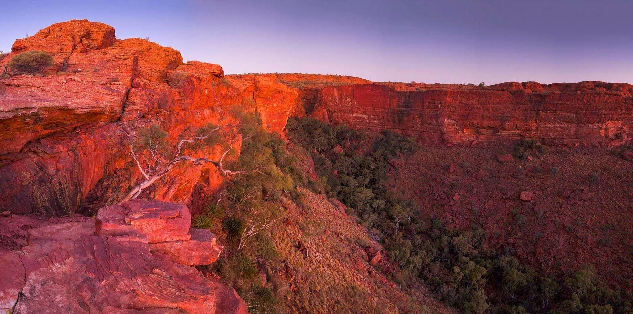 A deep greenery area surrounded by heavy mountain walls, Kings Canyon Sunset - Northern Territory