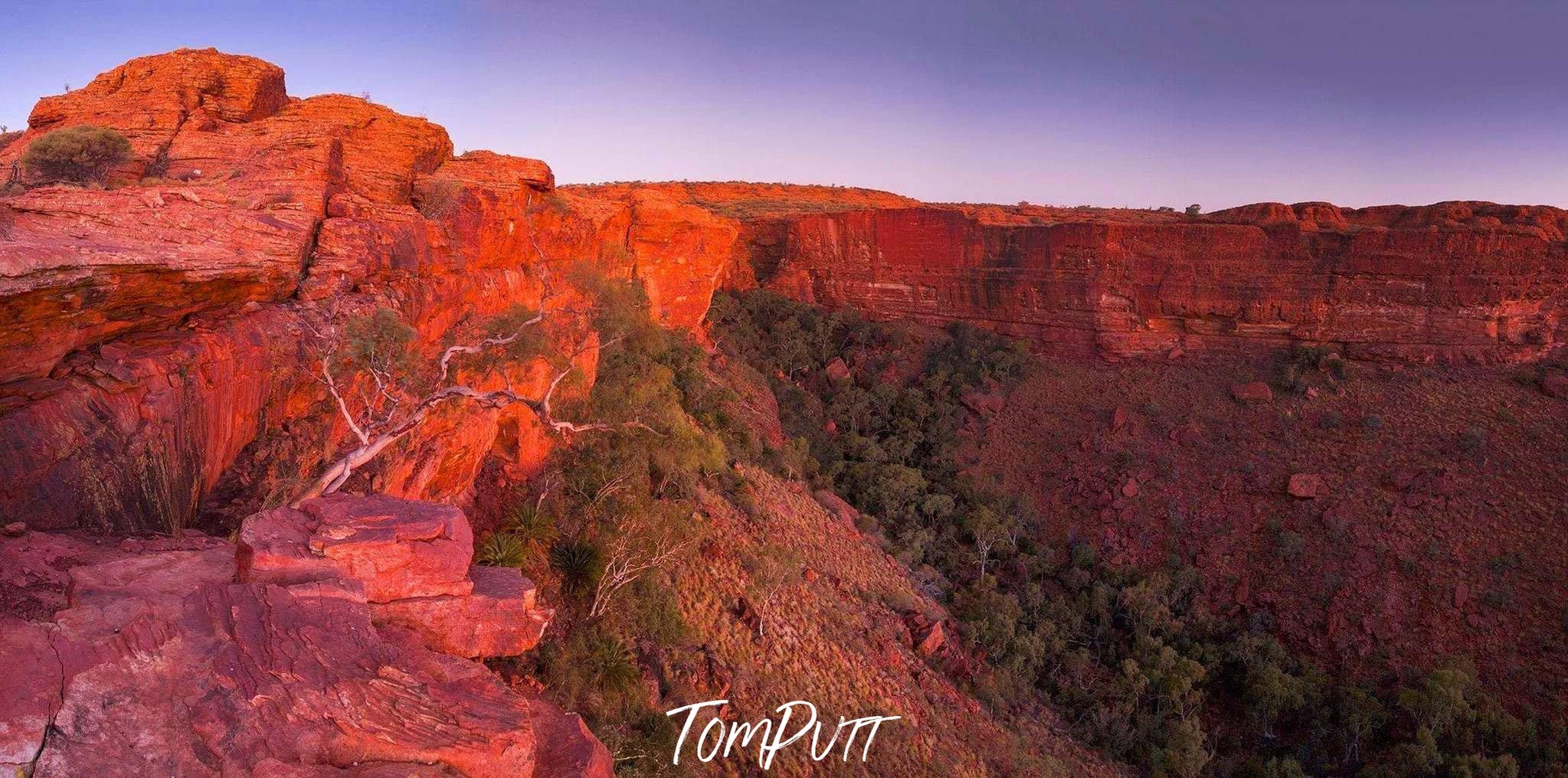 A deep greenery area surrounded by heavy mountain walls, Kings Canyon Sunset - Northern Territory