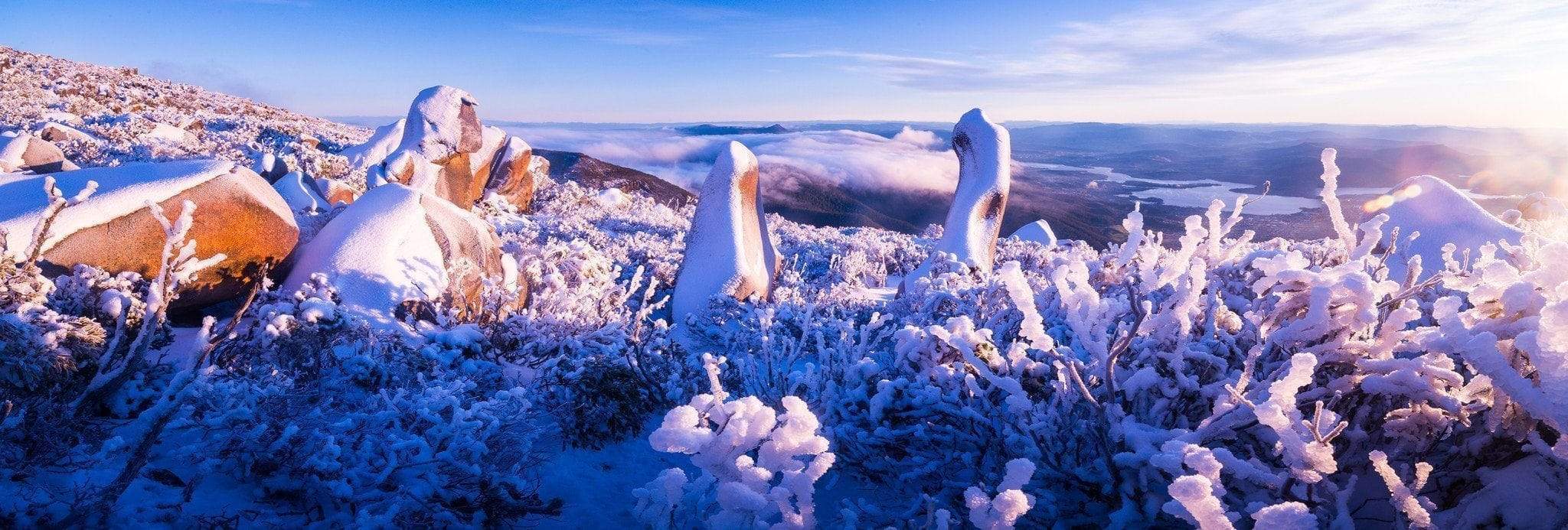 The unique shape of crystalline ice pieces, Mount Wellington