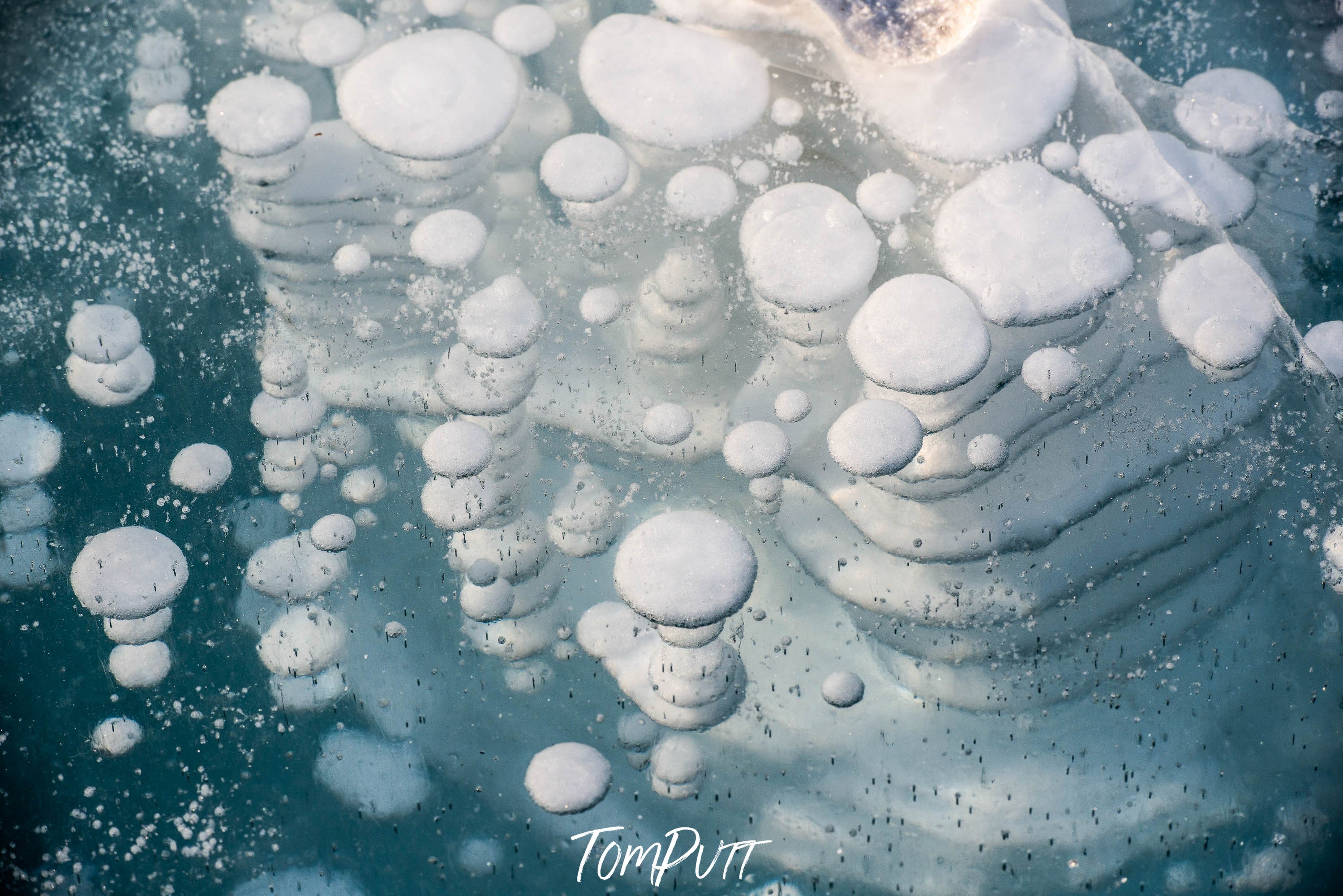 Flat Snowballs floating on the water, Lake Baikal #17, Siberia, Russia