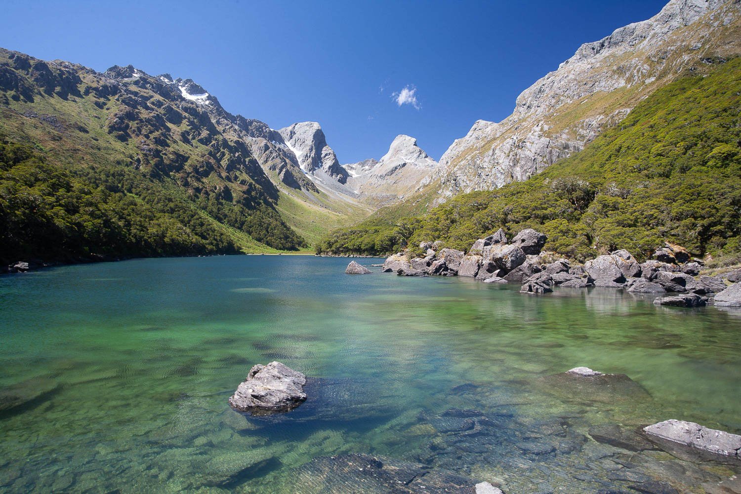 Great grassy mountains above a small lake with clear water, Lake MacKenzie #2, Routeburn Track - New Zealand