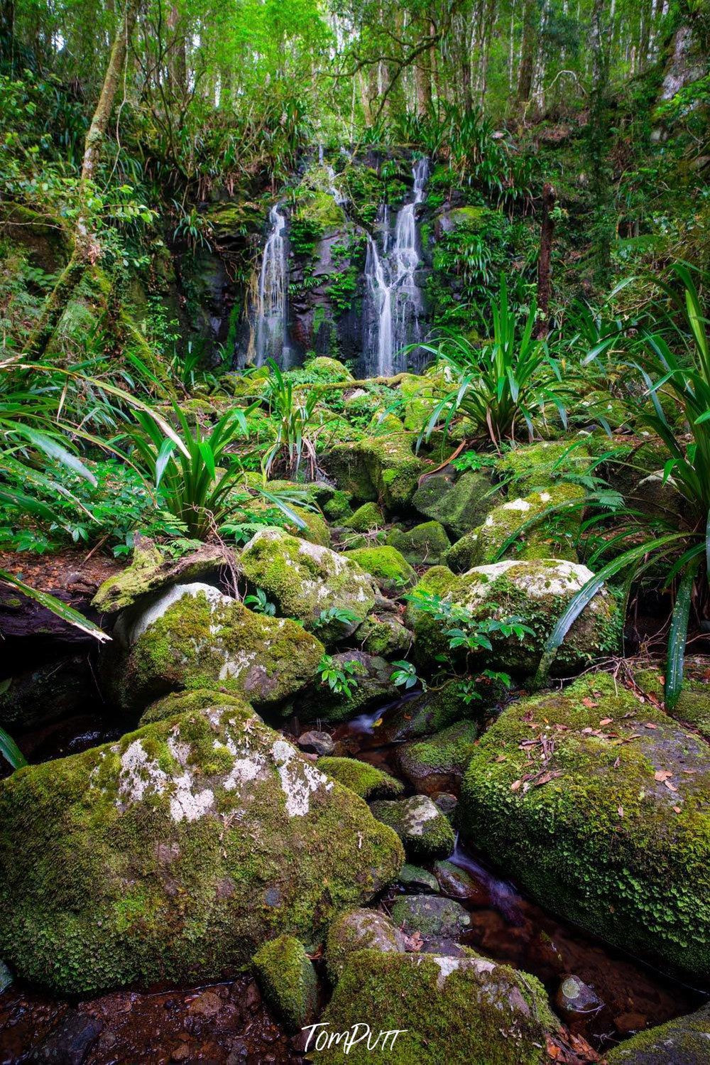 Green area with greeny stones and a small waterfall in the background, Lamington Beauty - QLD