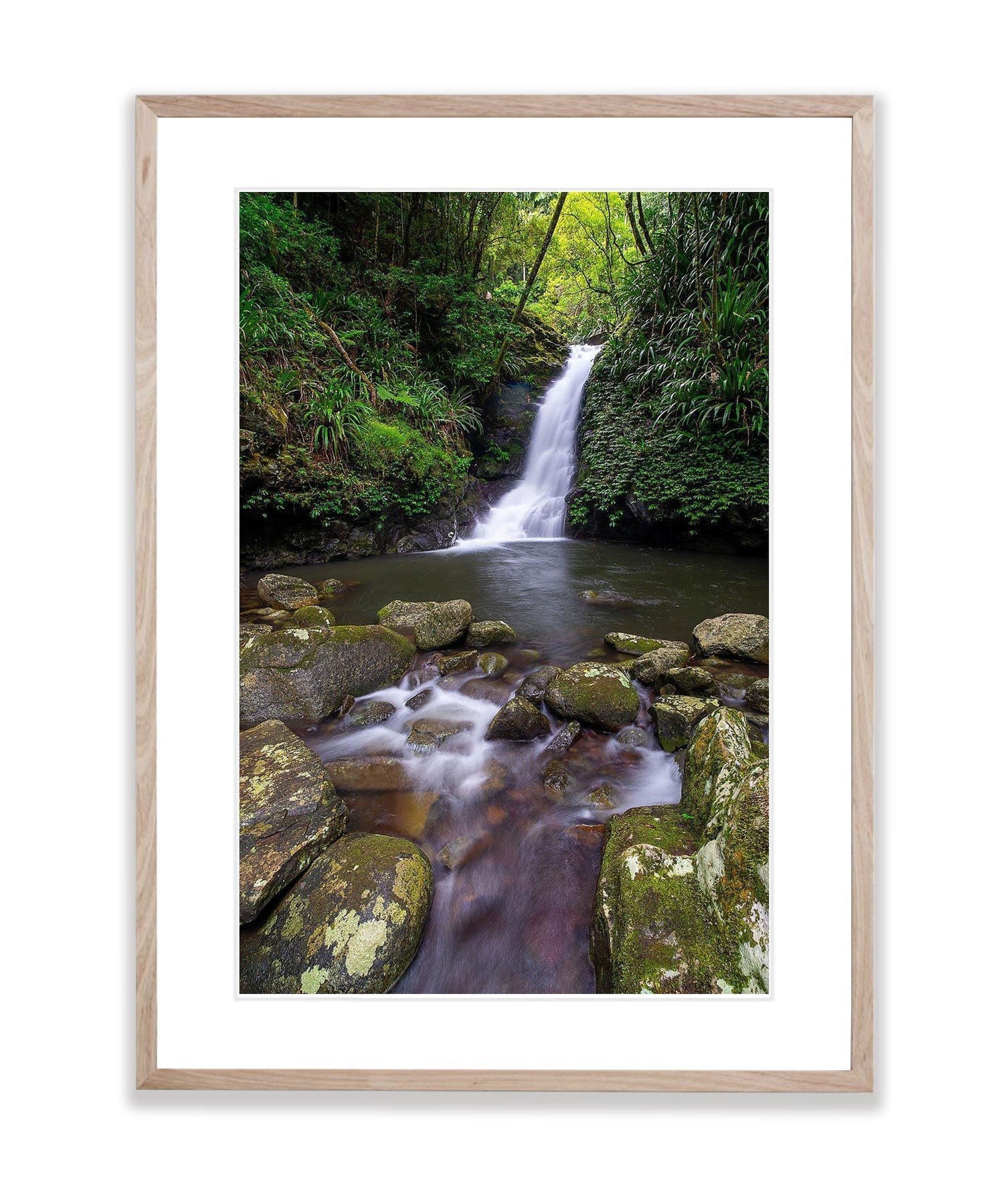 Lamington Falls - QLD