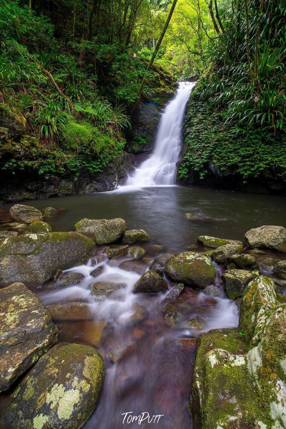 Waterfall from a green mound in a small lack, Lamington Falls - QLD