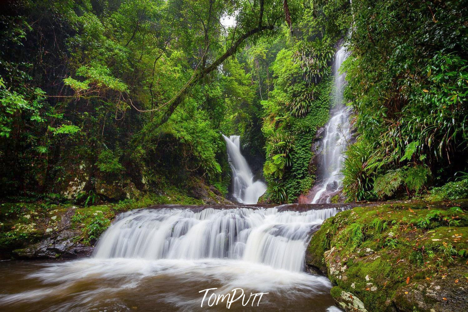 big Waterfalls from green mounds in a small lack, Lamington Flow - QLD