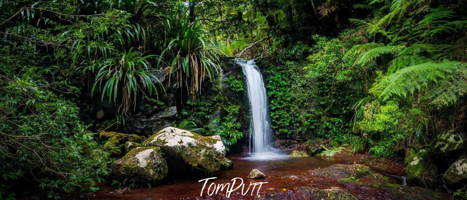 A small waterfall from green mounds in a lack with some big greeny stones in the corner, Lamington Jewel - QLD