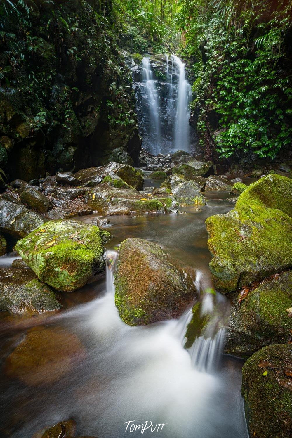 A small waterfall from green mounds in a lack with some big greeny stones in the corner, Lamington Magic - QLD