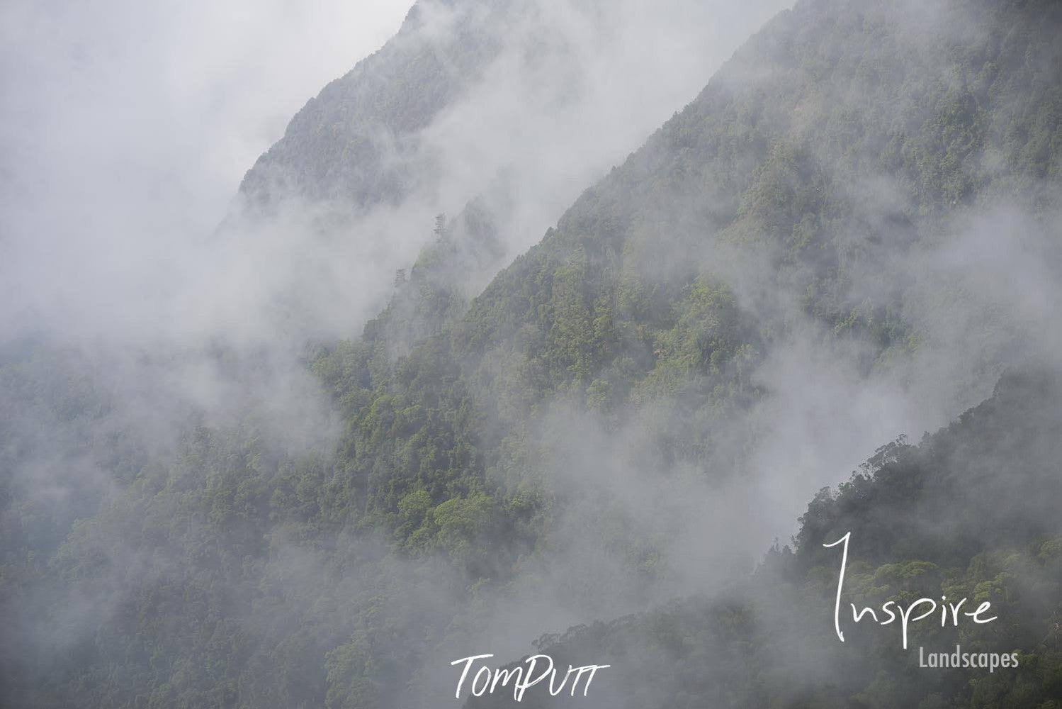 Giant green mountains covered by heavy fog, Lamington Mist National Park Art