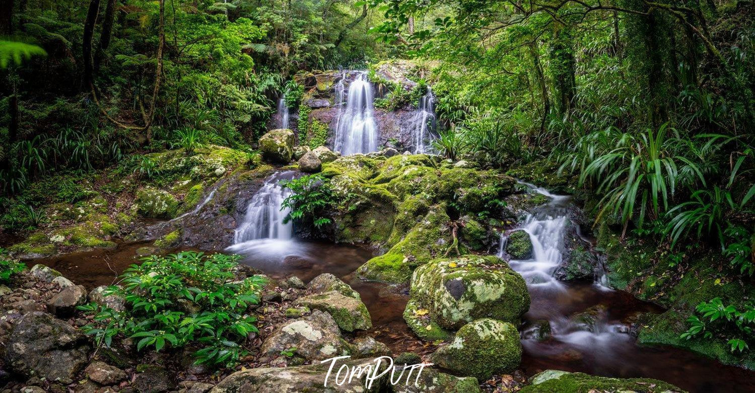 Multiple waterfalls from green mounds meeting at a small lack, Lamington Paradise - QLD