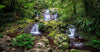 Multiple waterfalls from green mounds meeting at a small lack, Lamington Paradise - QLD