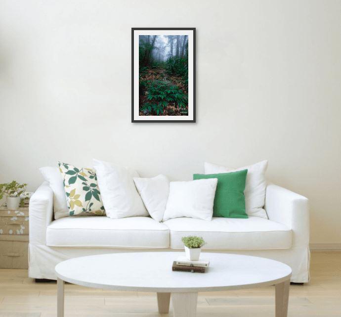 Lamington Rainforest-Tom-Putt-Landscape-Prints