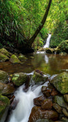Waterfall from a green hill area in a lake, Lamington Secret - QLD