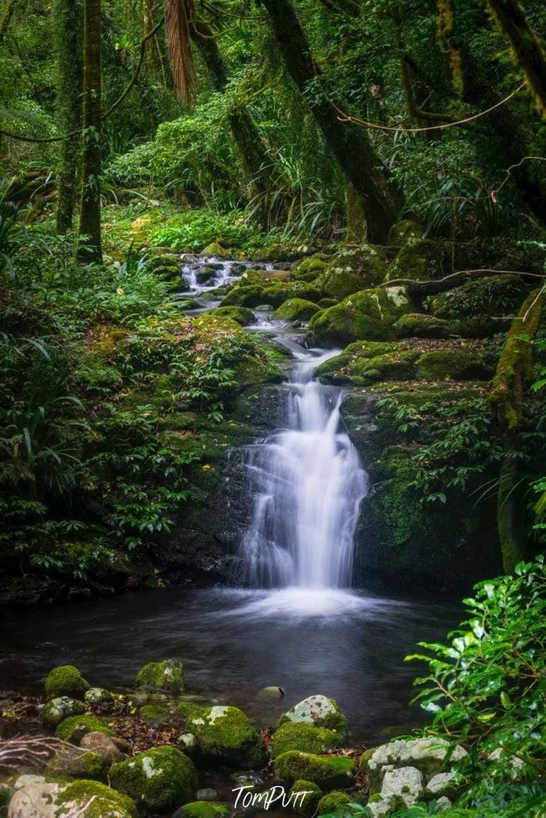 Waterfall from a green hill area in a lake with some greeny stones at the corner, Lamington Serenity - QLD