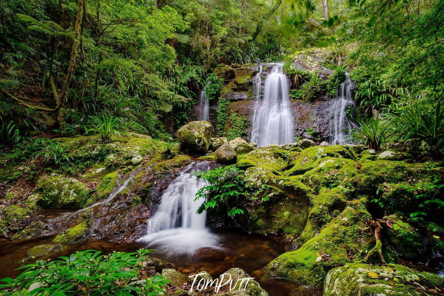 Multiple waterfalls from a green mound and from a hill point to a lake, Lamington Splendour - QLD