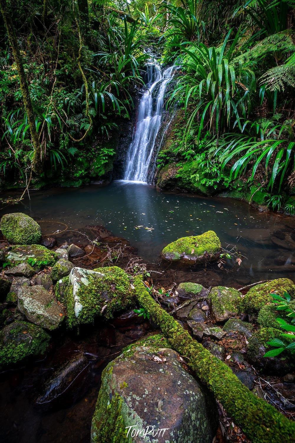 Waterfall from a green mound in a lake, with some greeny stones on the corner, Lamington Stillness - QLD