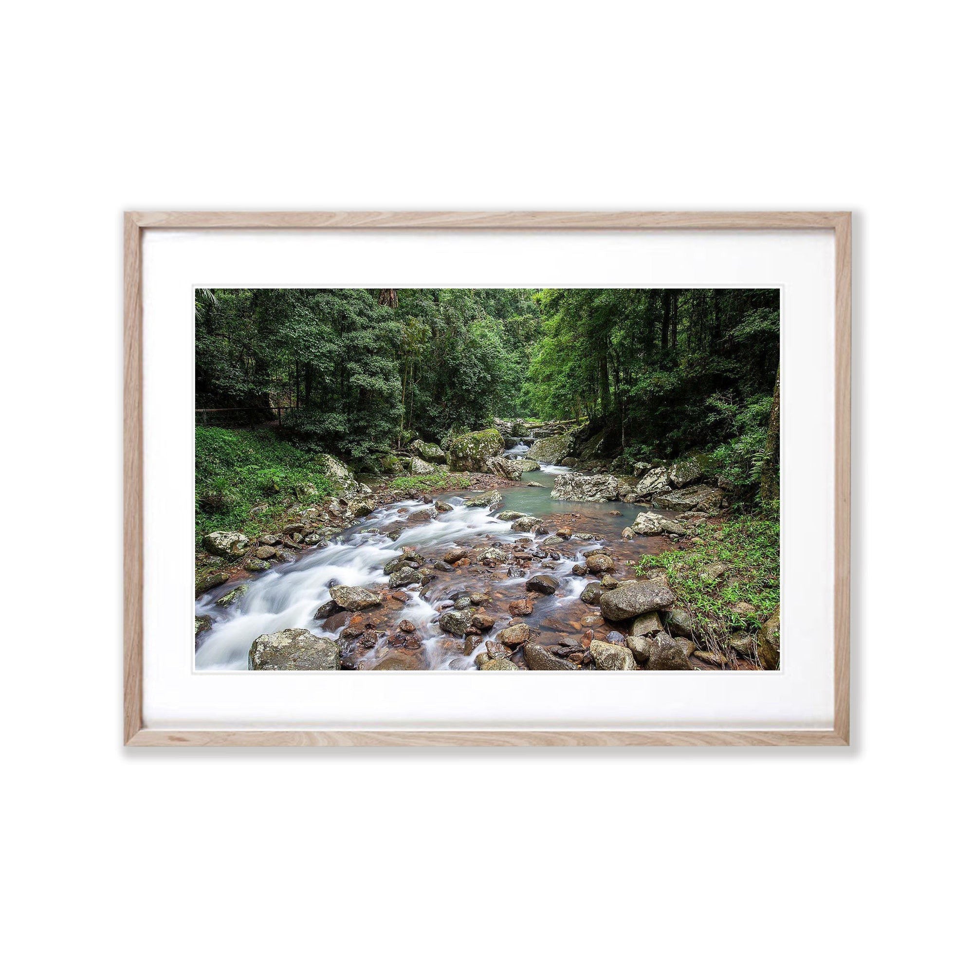 Lamington Stream - QLD